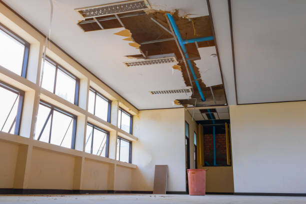 Best Professional water damage repair  in Centerville, OH
