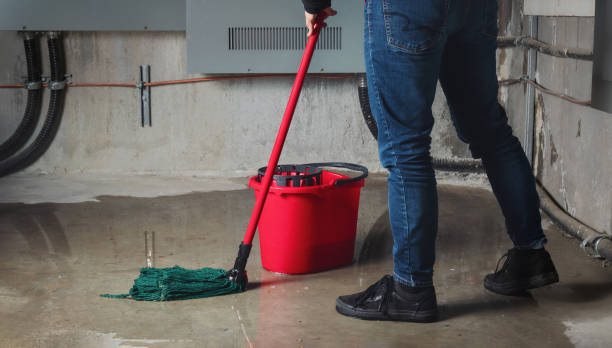Best Local water damage restoration  in Centerville, OH
