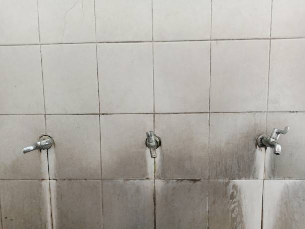 Best Mold removal after water damage  in Centerville, OH