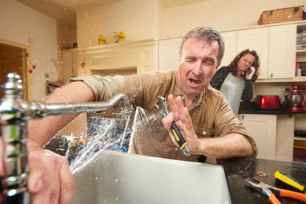 Best Mold removal after water damage  in Centerville, OH